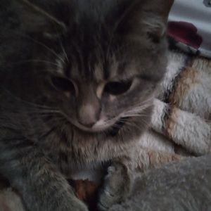 Meet your Posher, Flor